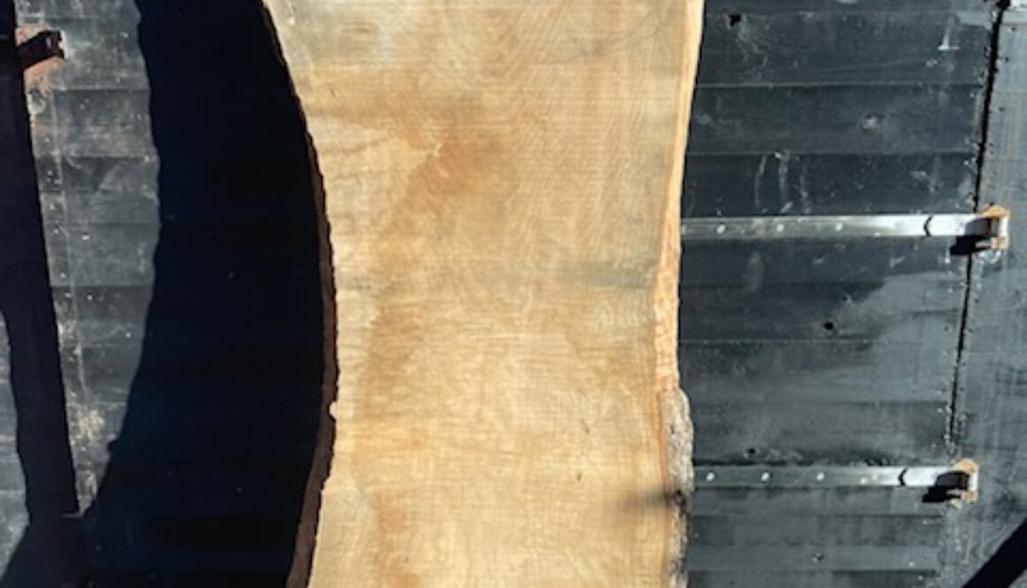 image1