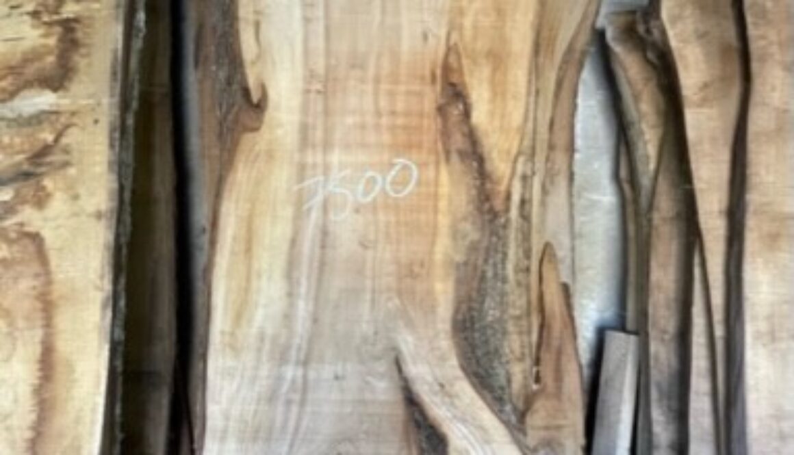 thumbnail_image1-1