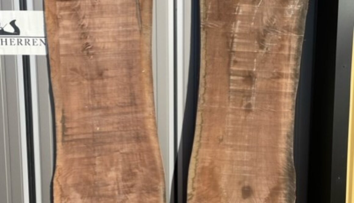 thumbnail_image1